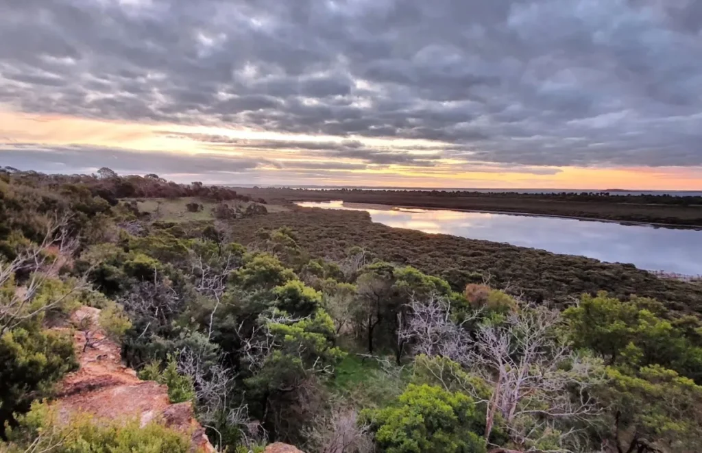 Mangroves and try bushmeat specialities in Rhyll