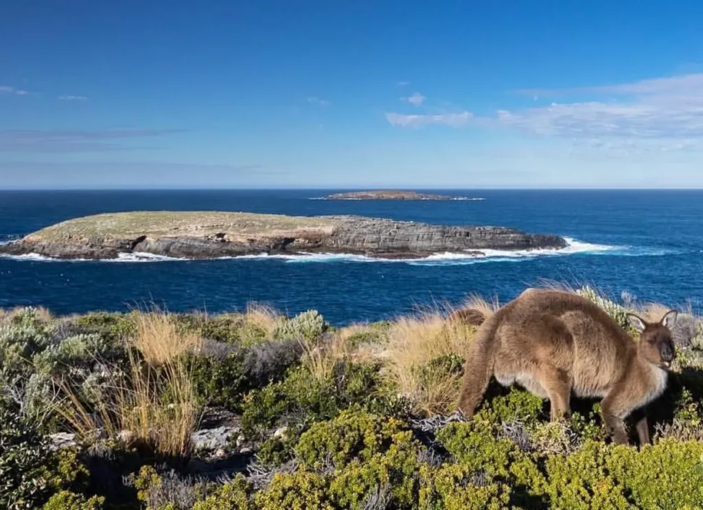 Kangaroo Island