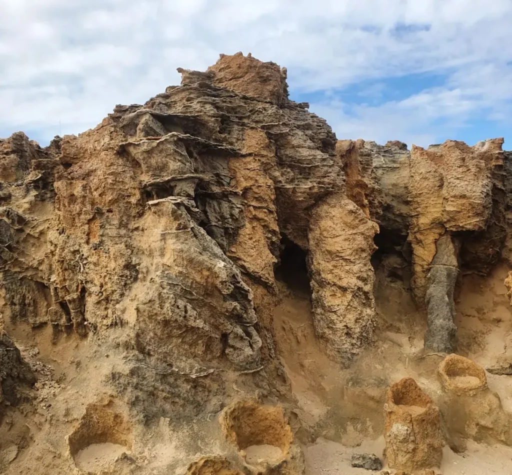 Petrified Forest