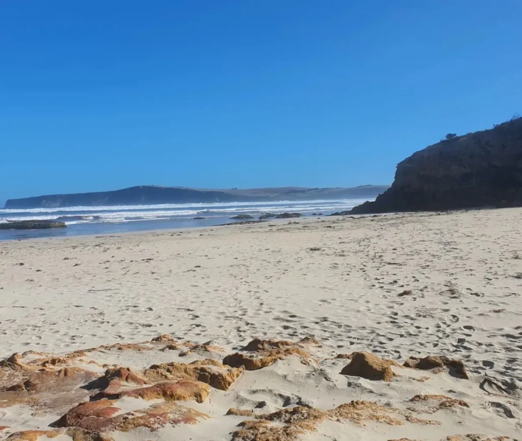 Shelly Beach