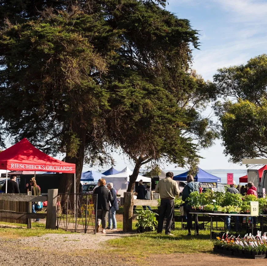 Special Events and Markets