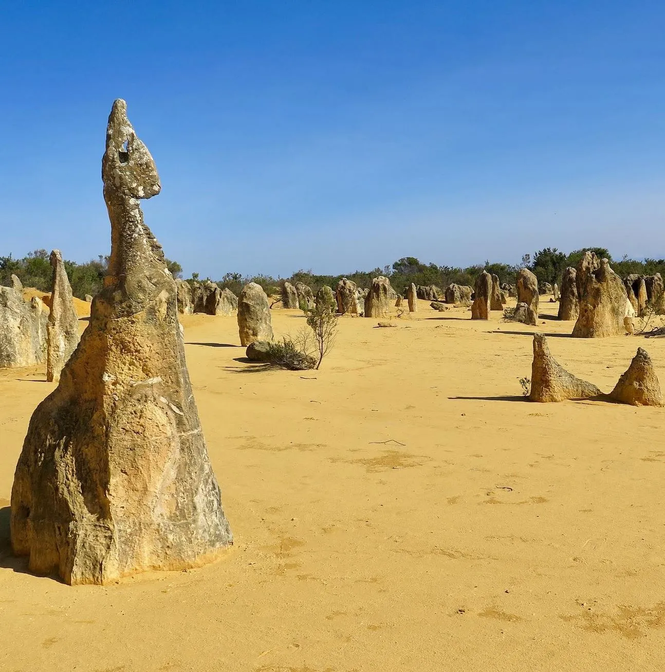 the Pinnacles Desert Discovery Centre
