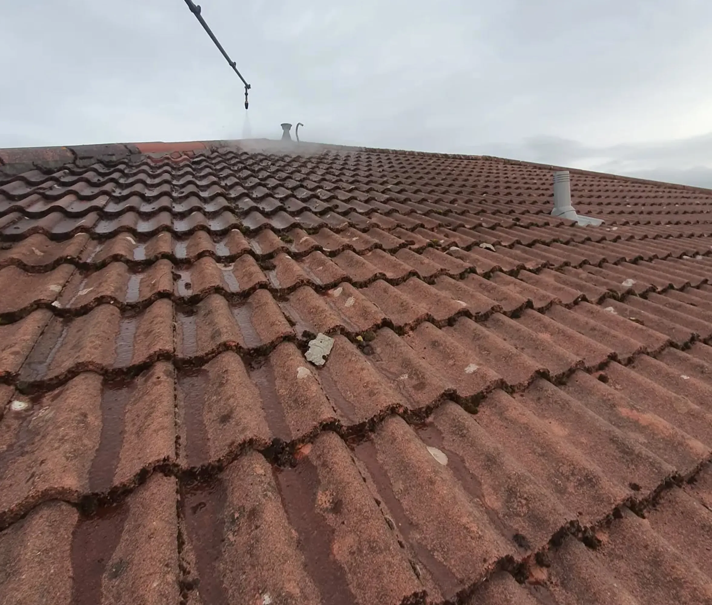 colorbond roof cleaning