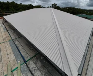 steam cleaning colorbond roof