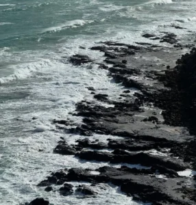 Great Ocean Road tours New Year