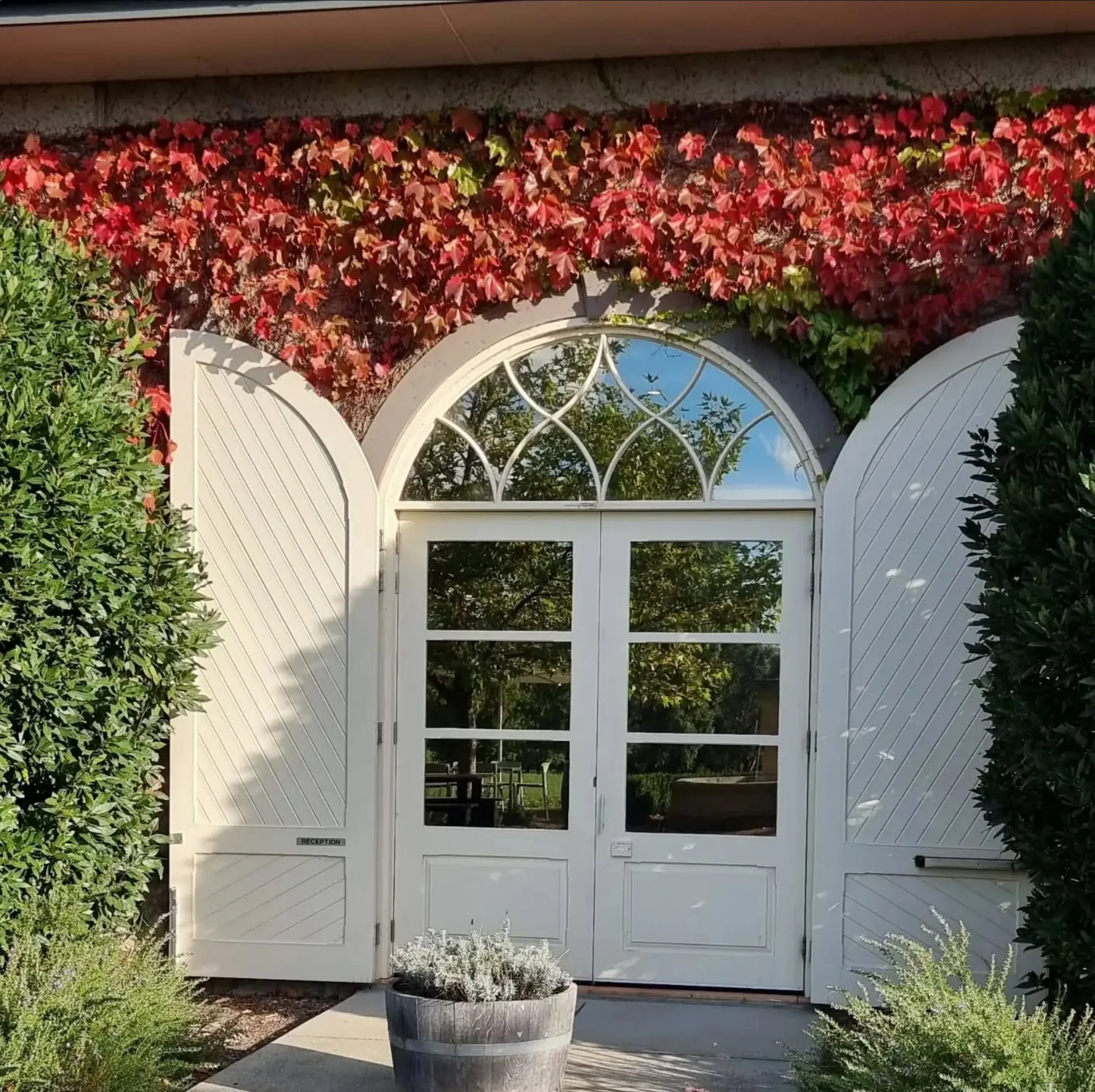 Yarra Valley wine tasting planning tips