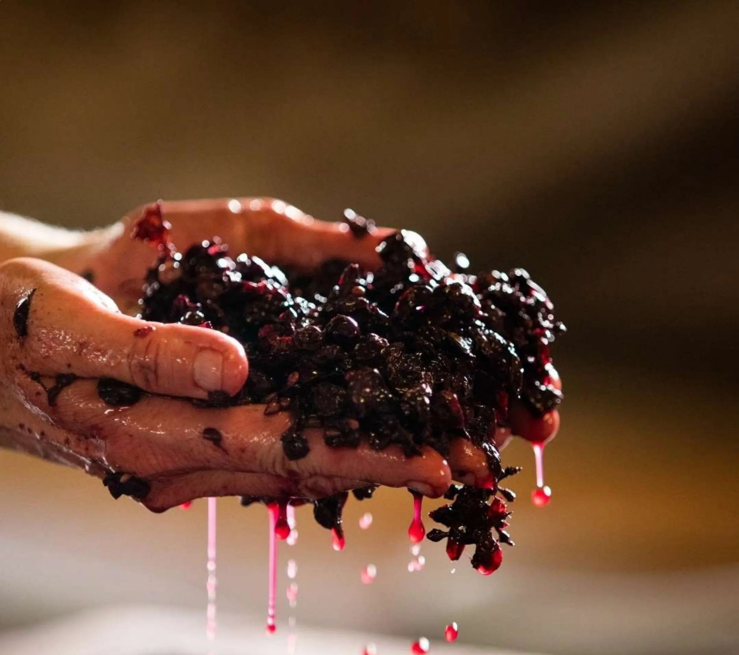 best pace for Yarra Valley wine day