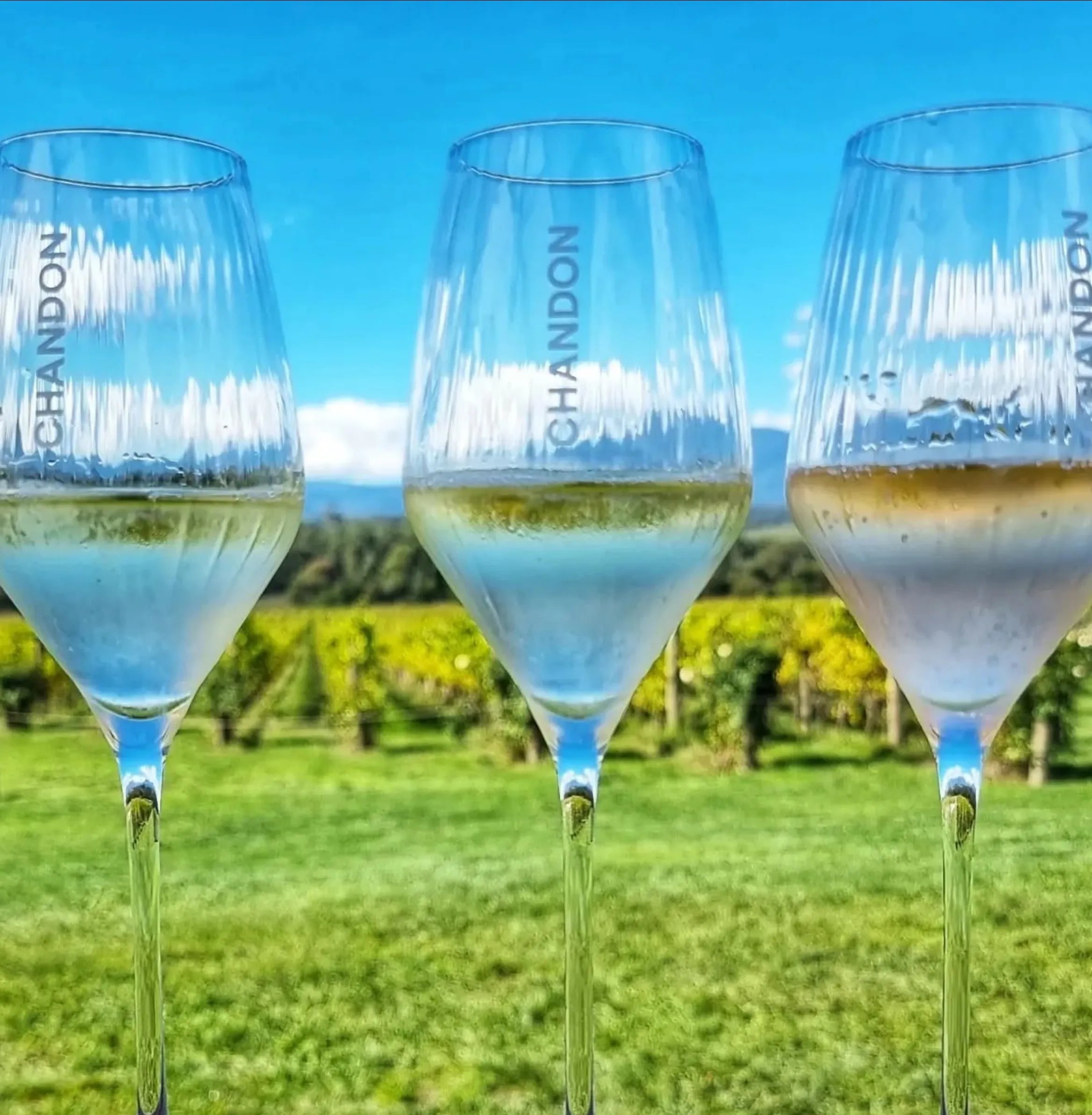 first timers mistakes Yarra Valley wine trip