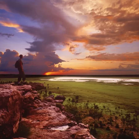 kakadu national park tours from darwin