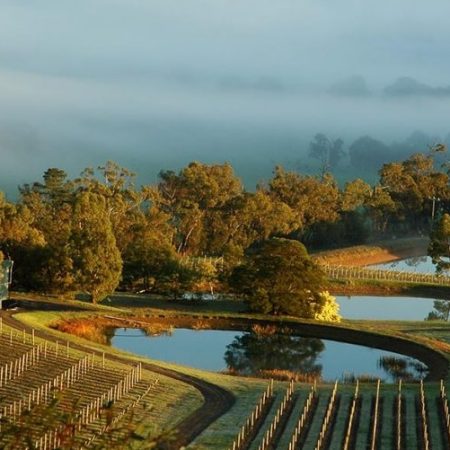 private winery tour yarra valley
