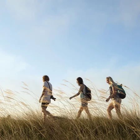 tour litchfield national park