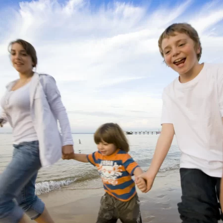 phillip island penguin tour