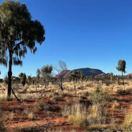 Uluru Flora and Fauna​