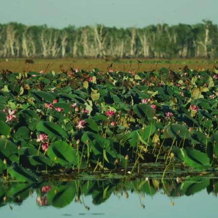 tours of kakadu from darwin