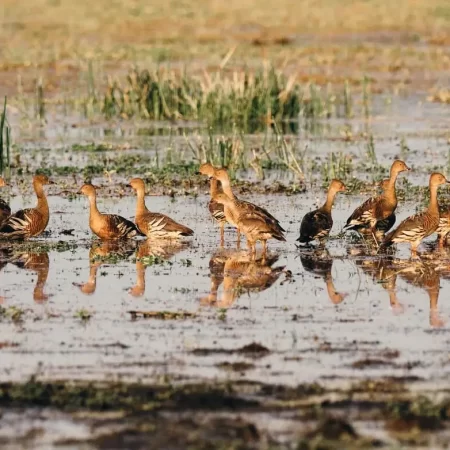 darwin to kakadu tours