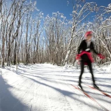 day trips to the snow