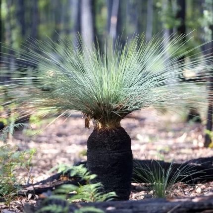 grampians hiking tour