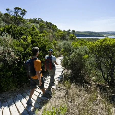 adelaide to melbourne tour great ocean road