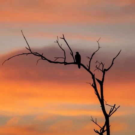 kakadu national park day tour