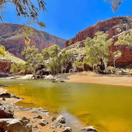 larapinta guided walks