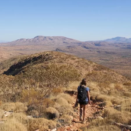 larapinta tours