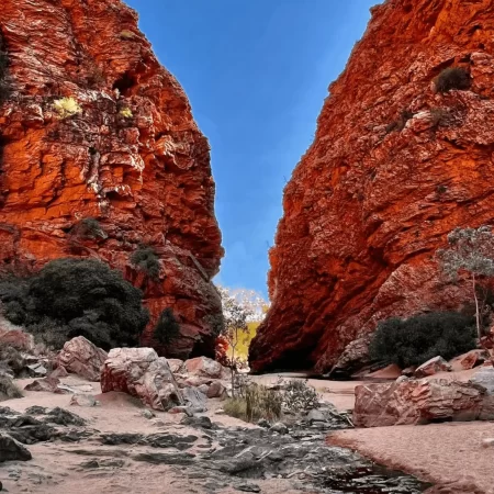 larapinta trail tour