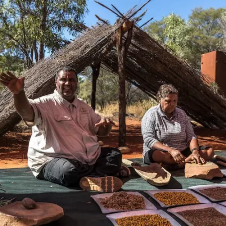 larapinta trail tours