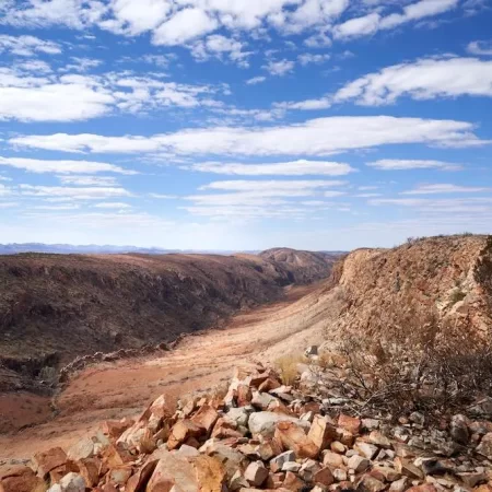 larapinta trail walking tours