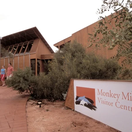 tours from perth to monkey mia