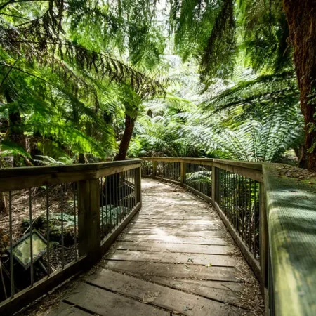 great ocean road tour adelaide to melbourne