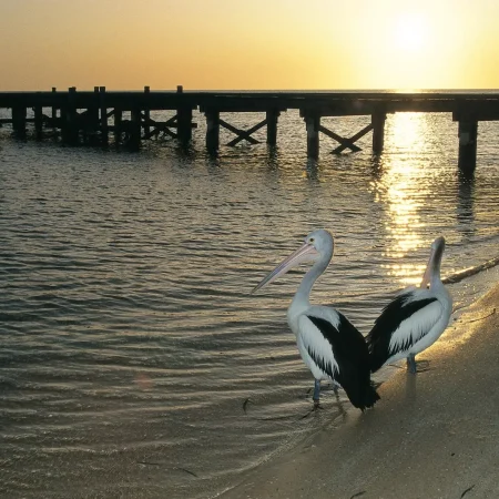 perth to monkey mia tour