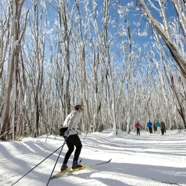 snowy mountains day tours