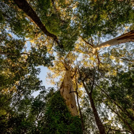 melbourne to adelaide road trip 3 days