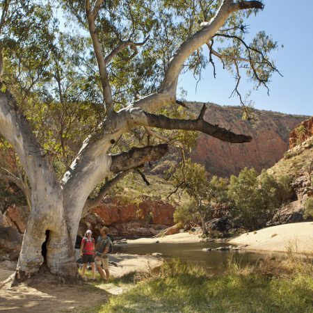tours in uluru