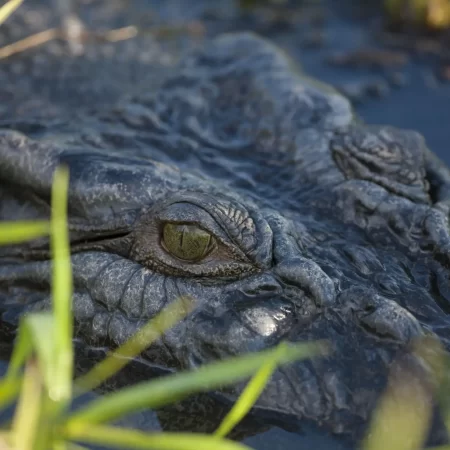 tours of kakadu from darwin