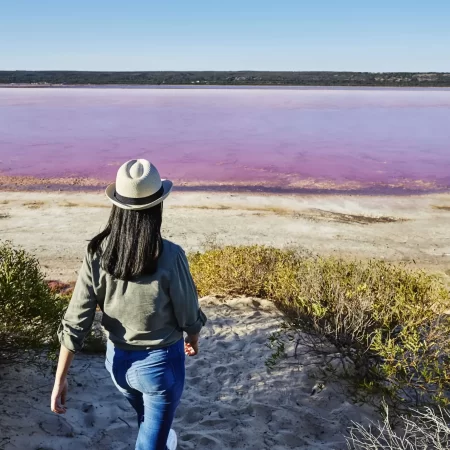 exmouth whale shark tours