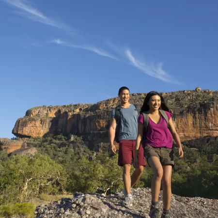 the great ocean road tour