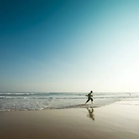 day trip phillip island