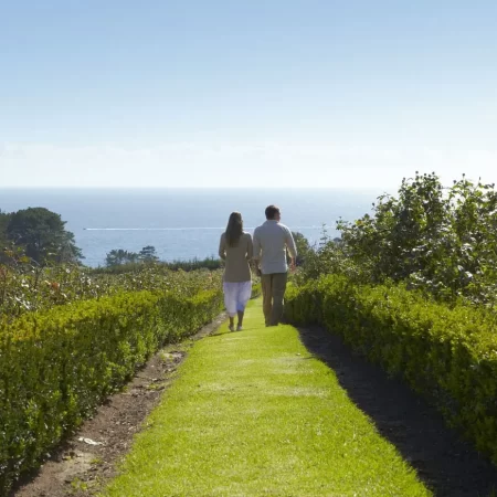 mornington peninsula winery tours